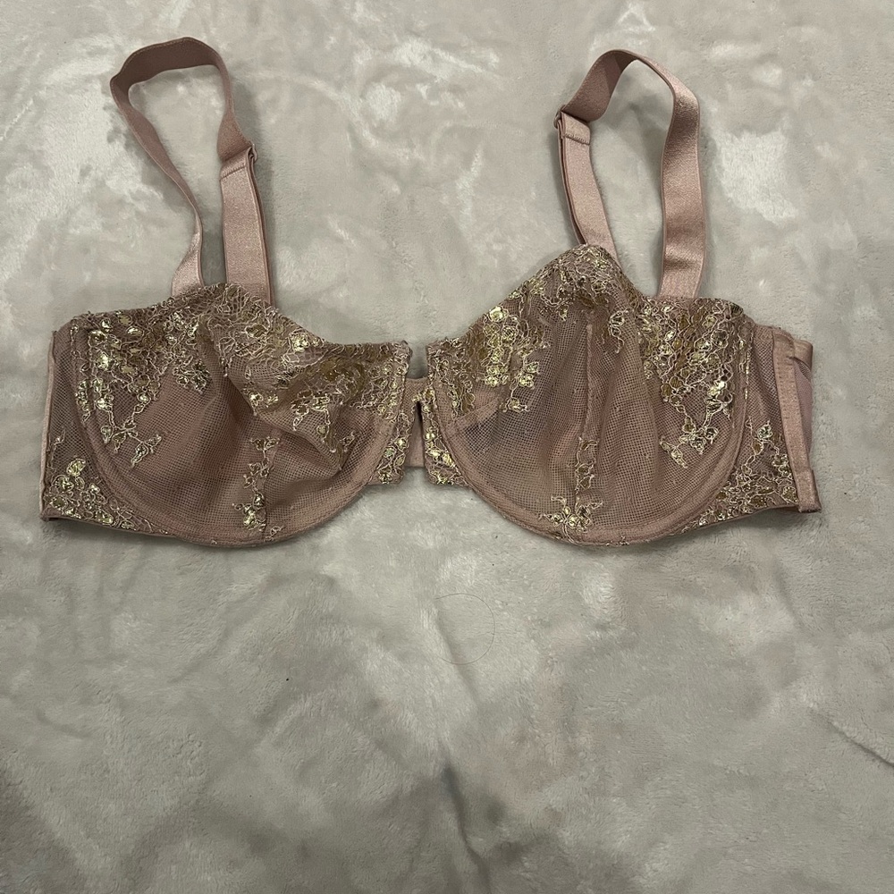 Elegant Lace Embroidered Bra - nude and Gold
